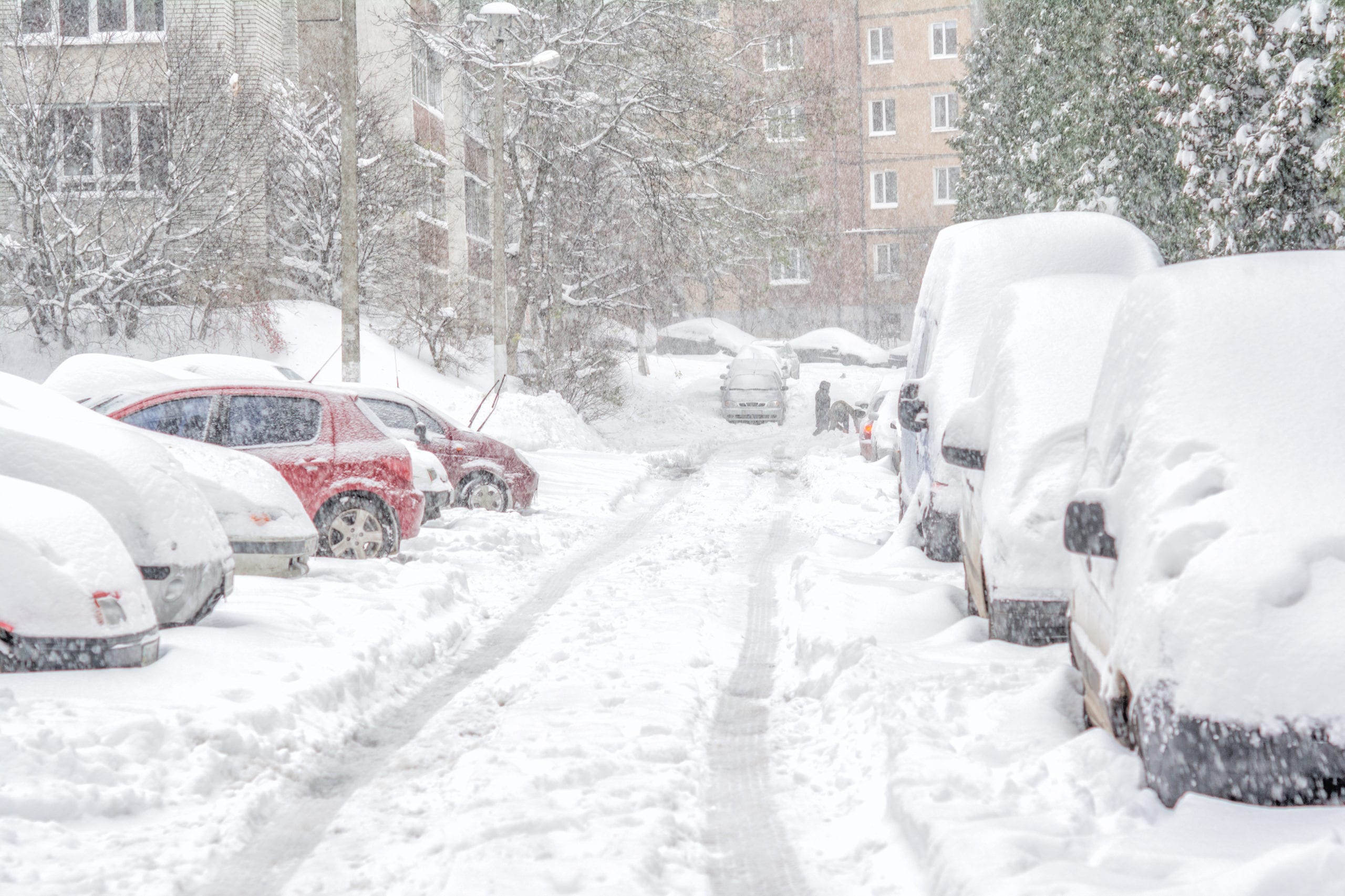 cars parked on the street covered in snow