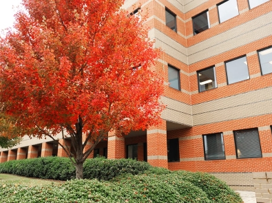 exterior view of high rise apartment buildings