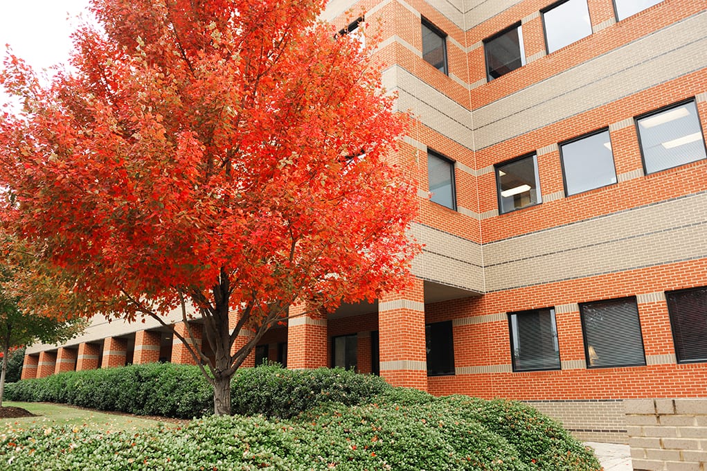 exterior view of high rise apartment buildings